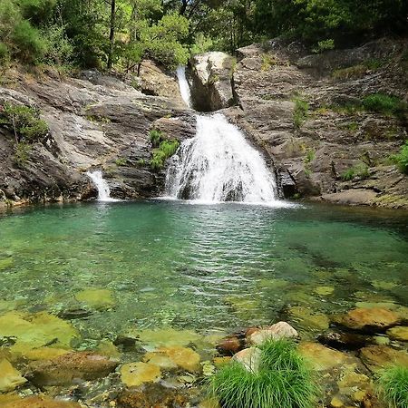 Serra De Arga Mountain House Montaria Екстер'єр фото