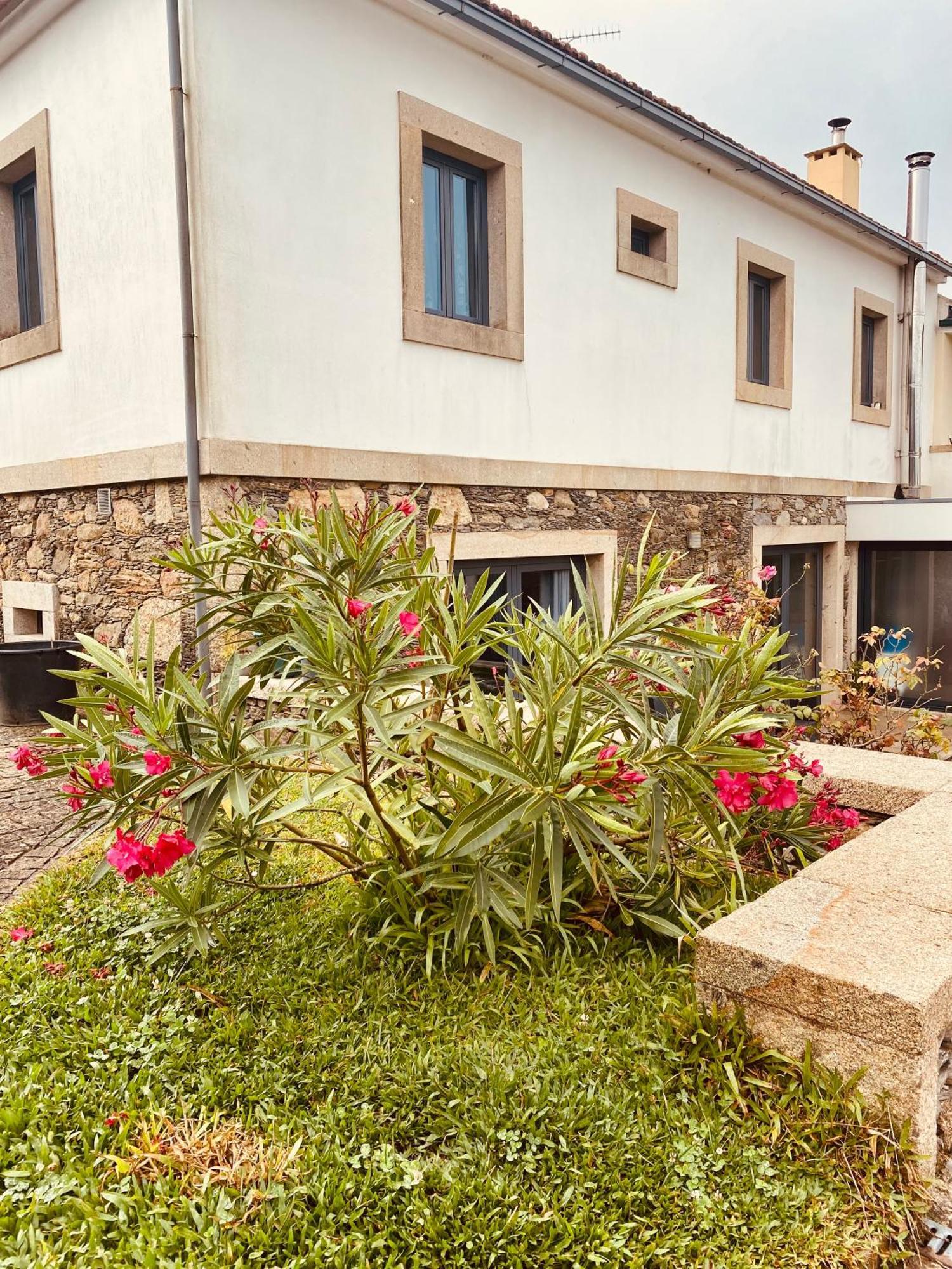 Serra De Arga Mountain House Montaria Екстер'єр фото